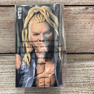 Loot Crate WWE Slam‎ Stars Series 3 Chris Jericho Y2J Action Figure NEW 2019